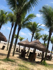 a group of straw umbrellas and palm trees on a beach at Camping beira mar in Bertioga