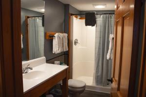 a bathroom with a sink and a toilet and a shower at New England Inn & Lodge in North Conway