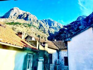 a group of houses with mountains in the background at Apartments Bella in Kotor