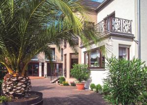 a palm tree in front of a building at Gästehaus und Weingut Bernd Frieden in Nittel