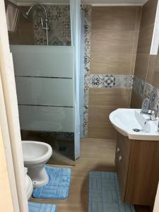 a bathroom with a toilet and a sink and a shower at Federica Apartment in Palermo