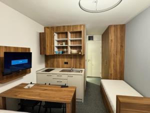 una piccola camera con letto e una cucina con lavandino di Studio Pablo Vila Bela Reka a Brzeće