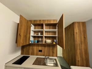 a kitchen with wooden cabinets and a sink at Studio Pablo Vila Bela Reka in Brzeće