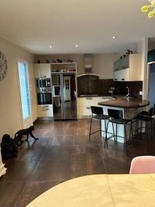 a kitchen with a dog walking in the middle of it at Comme à la maison… in Pusignan