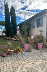 un grupo de plantas en macetas frente a una casa en Comme à la maison… en Pusignan