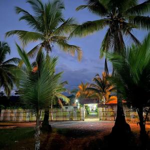 a group of palm trees in front of a fence at Cabañas Iracas del Mar in Nuquí