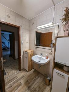 a bathroom with a sink and a mirror at Grüne Düne Meerblick Friedrichskoog Spitze in Friedrichskoog +35 photos