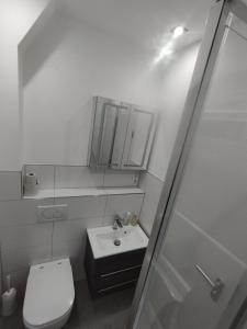 een badkamer met een toilet, een wastafel en een douche bij Nah an Mercedes-Werke in Stuttgart