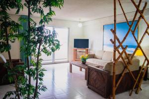 Foto de la galería de Suites del Sol Hotel & Apartments en Mérida 45 fotos más