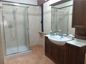 a bathroom with a shower and a sink and a mirror at Appartamento Gardenia in Nardò