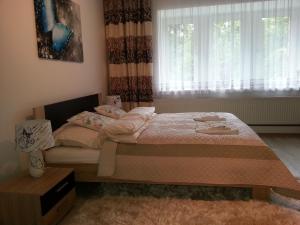 1 dormitorio con 1 cama y una ventana con cortinas en Spa Park Guest Rooms, en Długopole-Zdrój