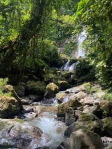 Paisagem natural perto do hotel