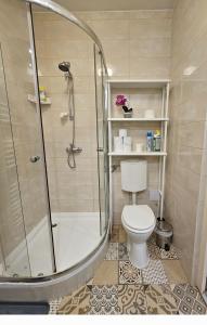 uma casa de banho com um chuveiro e um WC. em Smart studio in the heart of Budapest em Budapeste