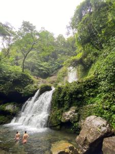 Paisagem natural perto do hotel