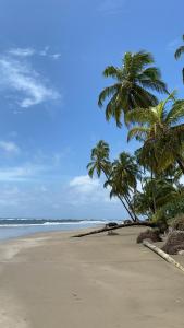 uma praia com duas palmeiras e o oceano em Rainforest Yasmin Hotel em Santa Fé
