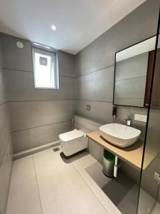 een badkamer met een wastafel, een toilet en een spiegel bij HOTEL CARNIVAL in Parbhani