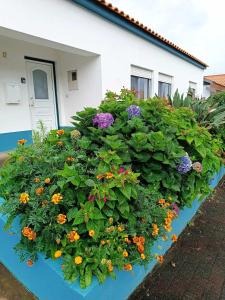 a large bush of flowers in front of a house at Apartamento da Matilde in Santa Cruz das Flores