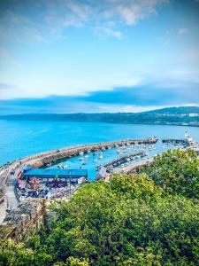 Příroda nedaleko apartmánu