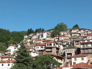 un montón de casas en una colina en Casa Luminosa, en Metsovo