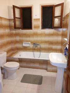 y baño con aseo, bañera y lavamanos. en Casa Luminosa, en Metsovo