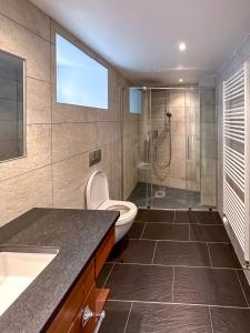 a bathroom with a shower and a toilet and a sink at Domaine du Deven Grandvaux in Grandvaux