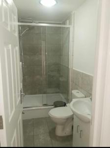 a bathroom with a shower and a toilet and a sink at EG premier lodge in Gillingham