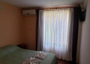 1 dormitorio con cama y ventana con cortina en Hotel Valle de Aosta en San Bernardo