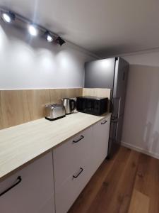 Kuchyň nebo kuchyňský kout v ubytování L'Orée, appartement cosy, 4 à 6 pers