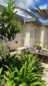 a house with a lot of plants in front of it at Espacio Edison 1 in Santa Rosa