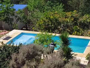una piscina en un jardín con plantas en Cabañas Olluhuasi, en Valle Hermoso 15 fotos más