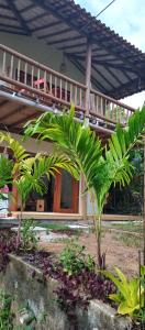 a house with a palm tree in front of it at Casa Flor de Dendê, Serra Grande, Bahia in Serra Grande