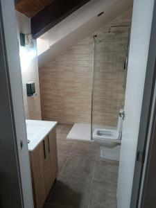 ein Badezimmer mit Toilette, Waschbecken und Dusche in der Unterkunft Apartamentos turisticos Ávila Puerta de la Santa 2-1 in Avila