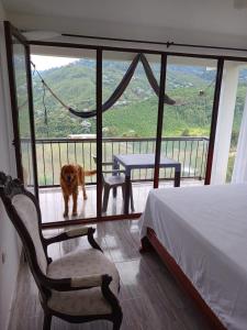 a dog standing on a balcony with a bed and a table at Hospedaje Rural Cabañas Mirador de la Cascada in Santa Rosa de Cabal