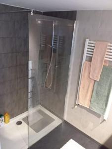 a shower with a glass door in a bathroom at Appartement Cosy avec Jardin in Vaux-sur-Seine