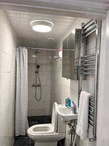 a bathroom with a toilet and a sink and a shower at One small bed apartment by monishortlets in Dagenham