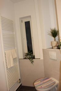ein Bad mit einem WC und einem Spiegel in der Unterkunft Ferienwohnung AM SPREEUFER in Hangelsberg