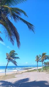 a beach with palm trees and the ocean at Casa di lana in Salvador