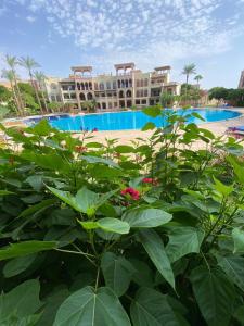 one bedroom apartments aqaba on 2 swimming pool Tala bay في العقبة: اطلالة المسبح في المنتجع