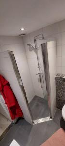 La salle de bains privative est pourvue d'une douche. dans l'établissement Private room 7m2 with desk & oven, à Rheden