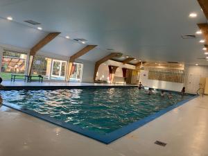 - une grande piscine avec des personnes à l'eau dans l'établissement Woodpecker - bungalow 29, à Durbuy