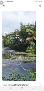 a picture of a pond with a fountain at July in San Felipe de Puerto Plata