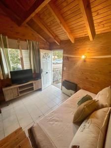 a bedroom with a bed and a tv in a room at La maison in Caviahue