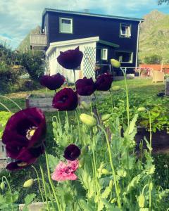 um grupo de flores vermelhas em frente a uma casa em Valberg Gjestegård em Valberg