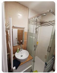 a bathroom with a sink and a shower at Studio Cosy Biarritz - classé 2 étoiles in Biarritz +24 photos