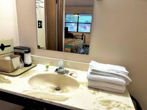 a bathroom counter with a sink and a mirror at Holiday Pines Inn and Suites in Jay