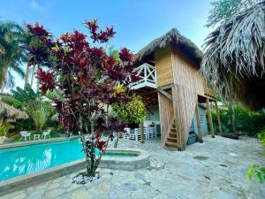 um resort com uma piscina e uma casa em EverGreen Cabarete em Cabarete