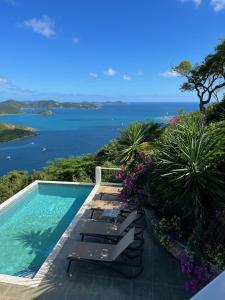 Coral BayにあるCOCONUT BREEZE VILLA: MESMERIZING VIEWS, COOLING TRADEWINDSの海の景色を望むスイミングプール