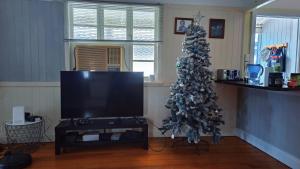 a living room with a christmas tree and a television at Brisbane Budget Homestay in Brisbane