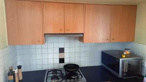 a kitchen with a stove and a microwave at Brisbane Budget Homestay in Brisbane