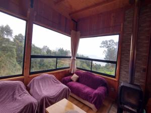 Habitación con ventanas y sillas con cojines morados. en Cabaña los arrayanes full equipada, en Valdivia